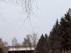 -张掖大佛寺景区