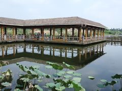 -白鹭湾湿地公园