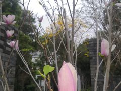 -深圳国际园林花卉博览园