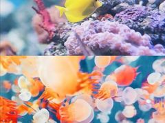 -成都浩海立方海洋公园