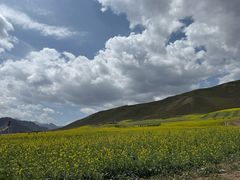 -扁都口生态休闲旅游区