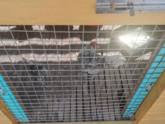 -美家乐农庄·露营·团建(大治路店)