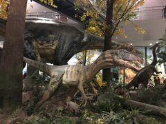 -湖南省地质博物馆