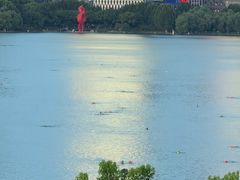 -天鹅湖体育公园