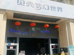-贝壳梦幻世界