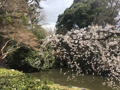 -京都御所
