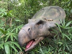 -海南热带野生动植物园