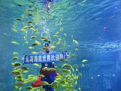 -北海海底世界