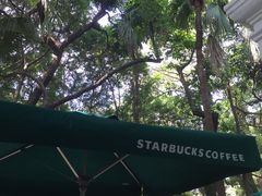 -星巴克臻选(广州沙面店)