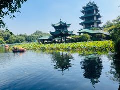 -桂湖森林公园