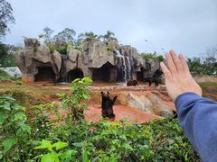 -海南热带野生动植物园
