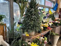 -双季花艺园艺市场(浦东店)