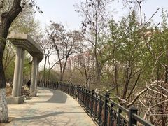-桃花堤公园