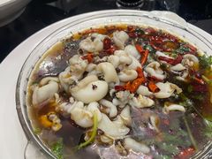 墨鱼仔-小耕园