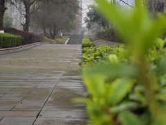 -重庆彩云湖湿地公园