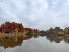 -苏州太湖国家湿地公园