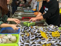 -大湾区中央湿地公园-十九涌