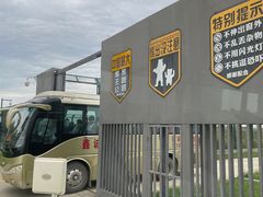 -黑瞎子岛探秘野熊园