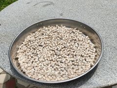 -鹅公村食府(罗阳分店)