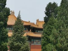 -历代帝王庙博物馆