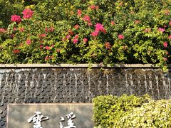 -云溪植物园