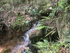 -白马涧龙池景区