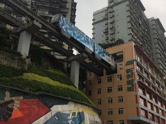 -李子坝梁山鸡(李子坝大鸡哥店)