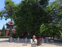-大槐树寻根祭祖园