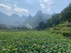-长寿村