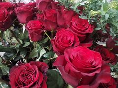 -Flower in(密渡桥店)