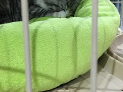 -宠物世家(仲盛世界商城店)