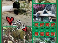 -广州长隆野生动物世界