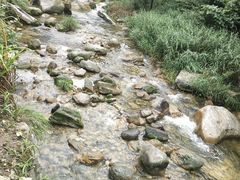 -终南山国家森林公园