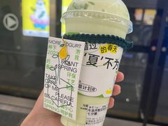 -茉酸奶(春熙路店)