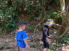 -火炉山森林公园