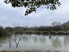 -八卦田遗址公园