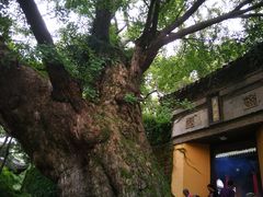 -无锡惠山寺
