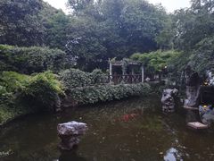 -东航云逸酒店(九溪烟树店)