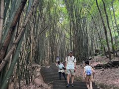 -凤栖山