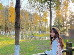 -艾溪湖湿地公园