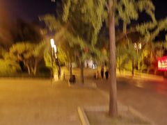 -迎泽公园