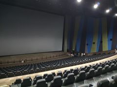 放映厅-天幕新彩云国际影城(激光巨幕店)