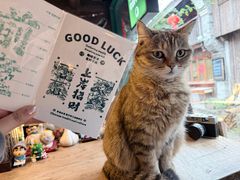 -新月集庭院咖啡馆(老邮局店)