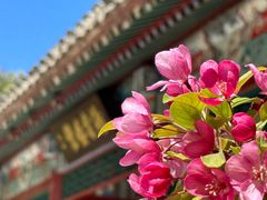 -元大都城垣遗址公园