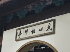 -西湖游船