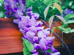 -天津东丽湖风景区