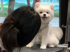 -樱桃家的宠物店(君安花园店)