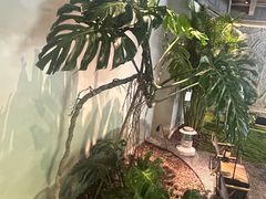 -J Create城市露营咖啡·简餐·宠物(上海动物园店)