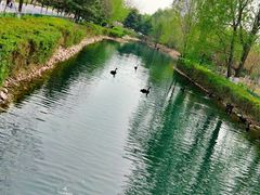 -长白岛森林公园