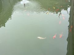 -圆通寺